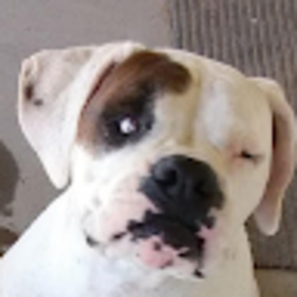 Meet your Posher, Brian - Picture 1 of 1